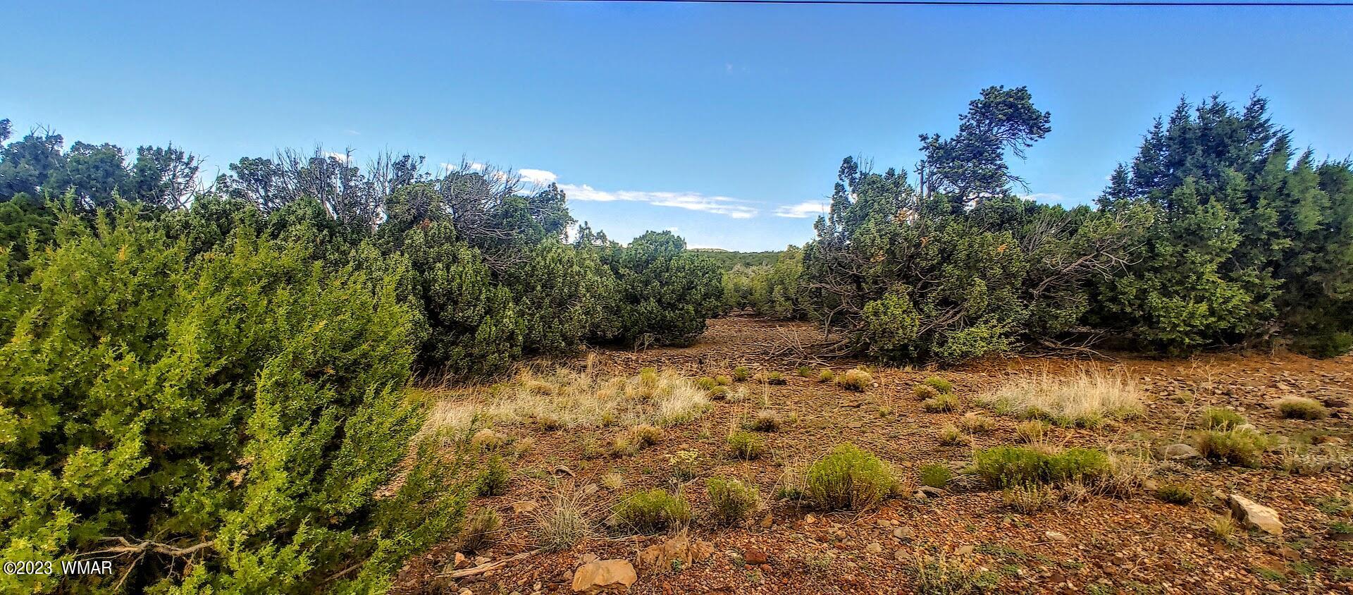 25 County Road 8145 Concho, AZ 85924 - Photo 5 of 10