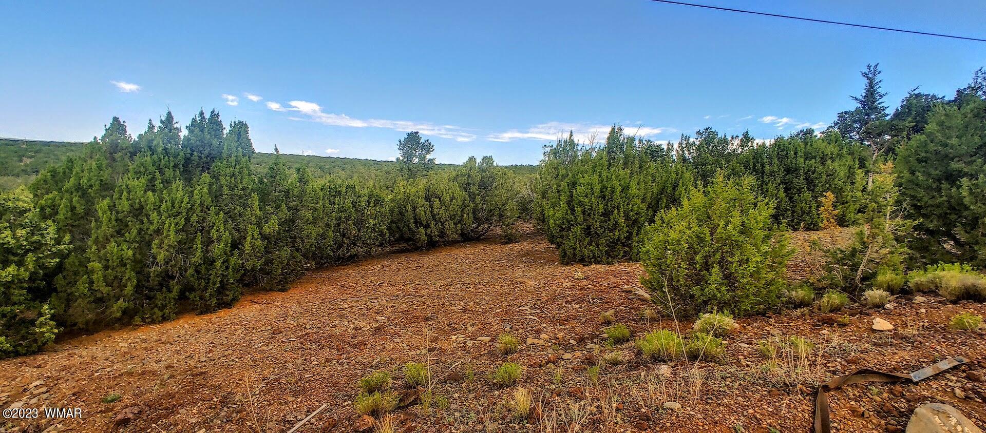 25 County Road 8145 Concho, AZ 85924 - Photo 6 of 10