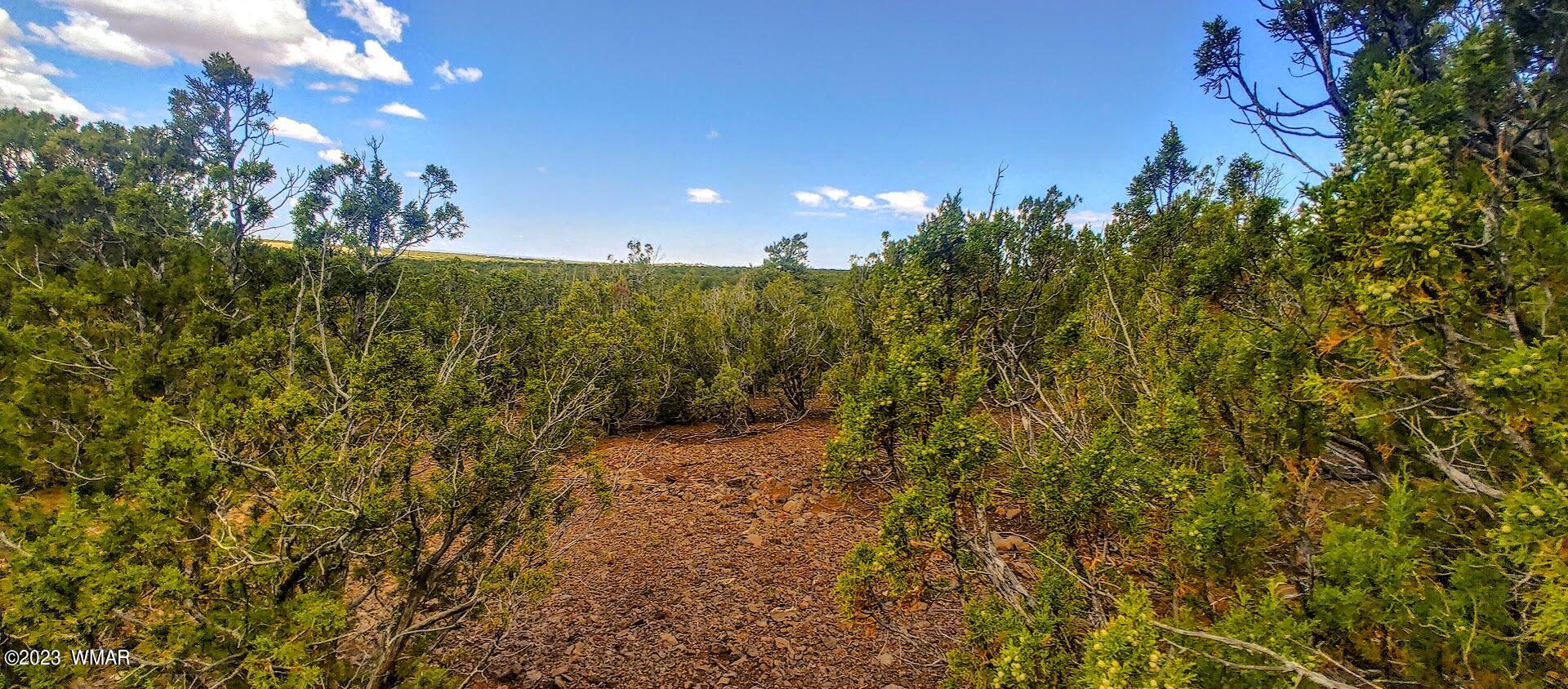 25 County Road 8145 Concho, AZ 85924 - Photo 7 of 10