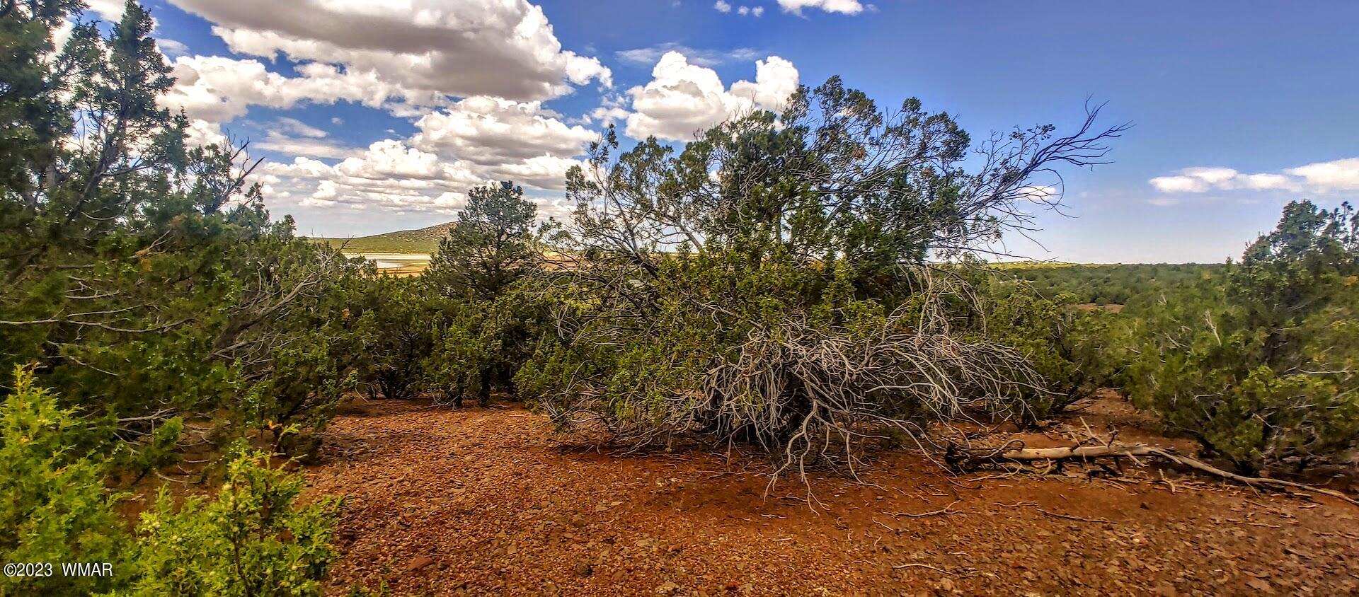 25 County Road 8145 Concho, AZ 85924 - Photo 8 of 10