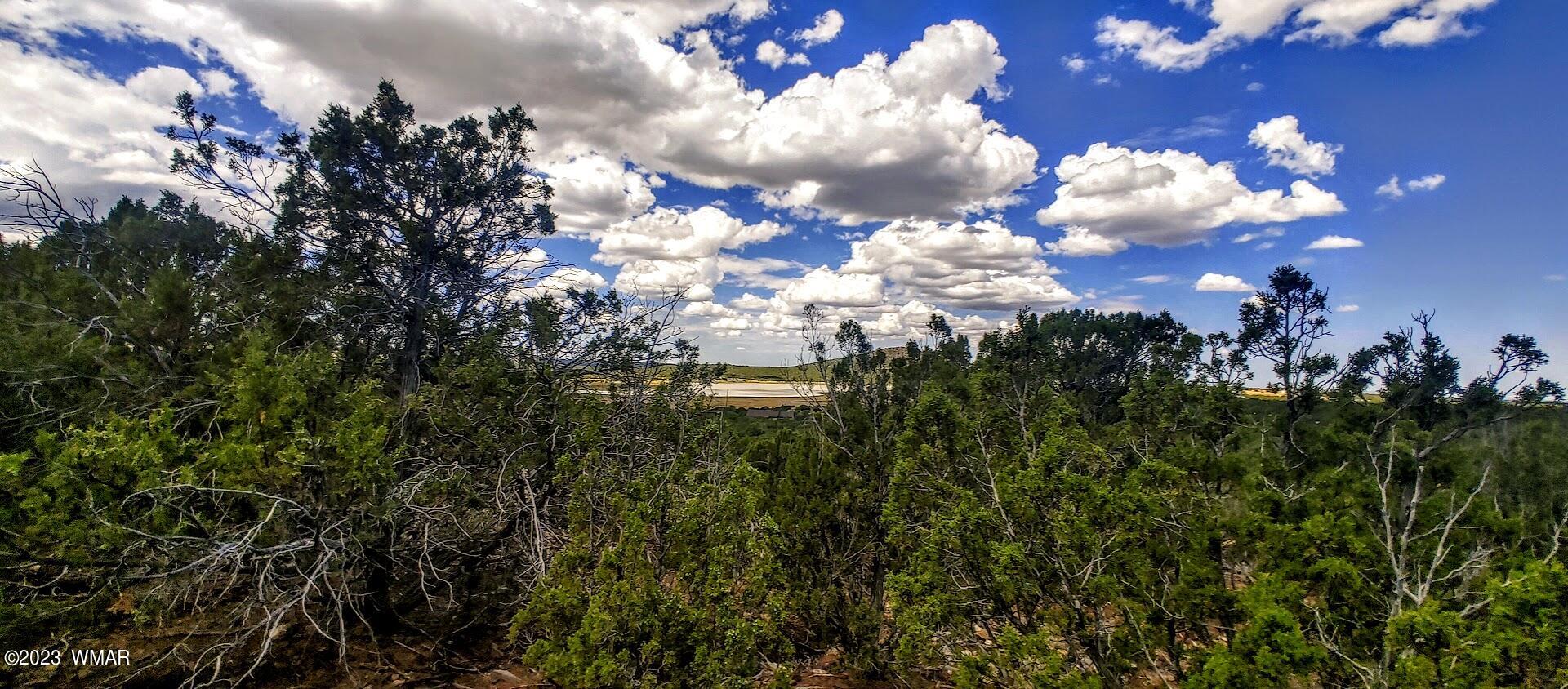 25 County Road 8145 Concho, AZ 85924 - Photo 9 of 10