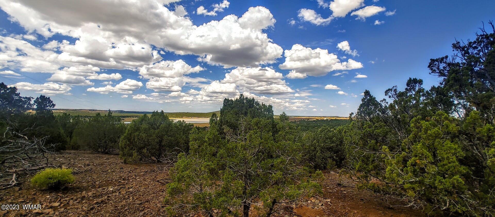 25 County Road 8145 Concho, AZ 85924 - Photo 10 of 10