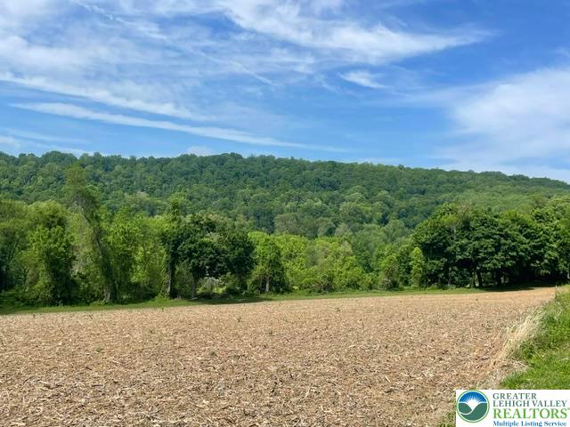 5093 Vera Cruz Road North Emmaus, PA 18049 - Photo 46 of 47 Great views