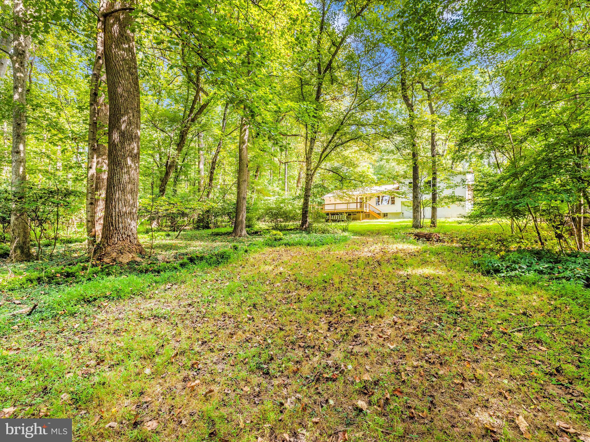 25124 Hickory Ridge Lane Gaithersburg, MD 20882 - Photo 43 of 45 0EK_4846