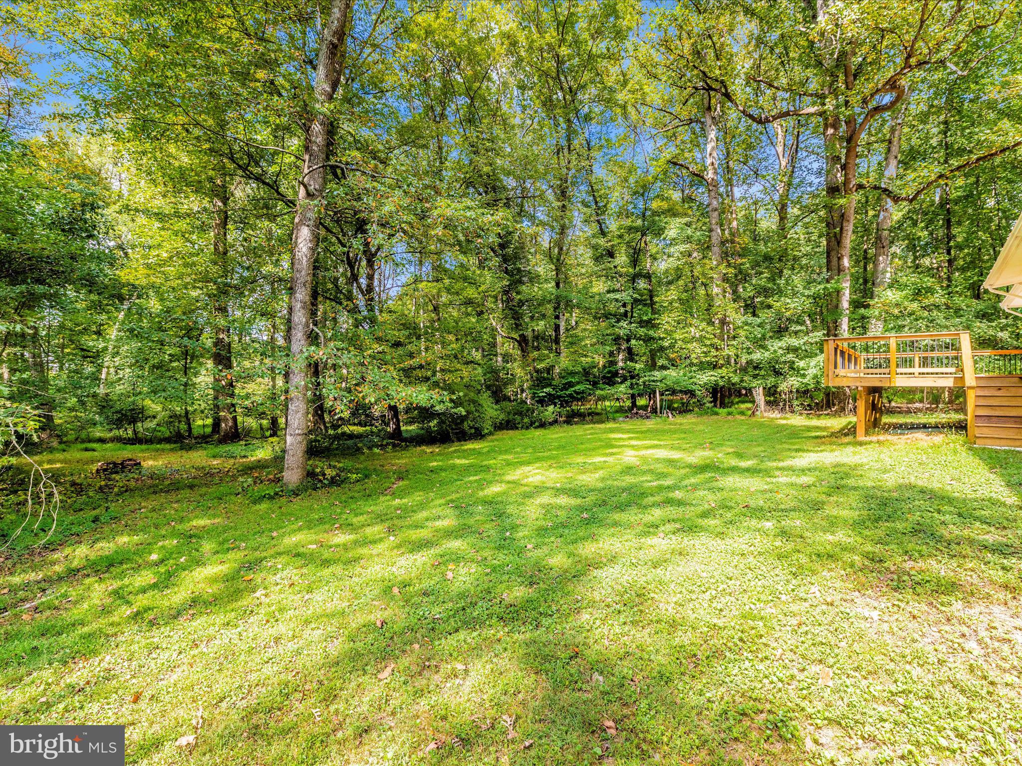 25124 Hickory Ridge Lane Gaithersburg, MD 20882 - Photo 44 of 45 0EK_4849