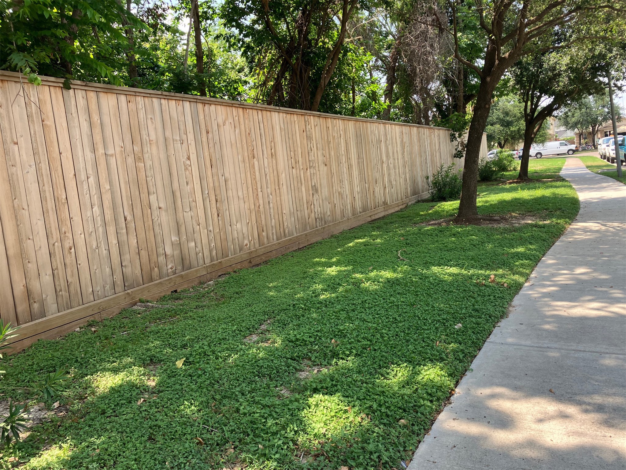 A wooden fence along a sidewalk with lush green ground cover and a tree on a sunny day.
