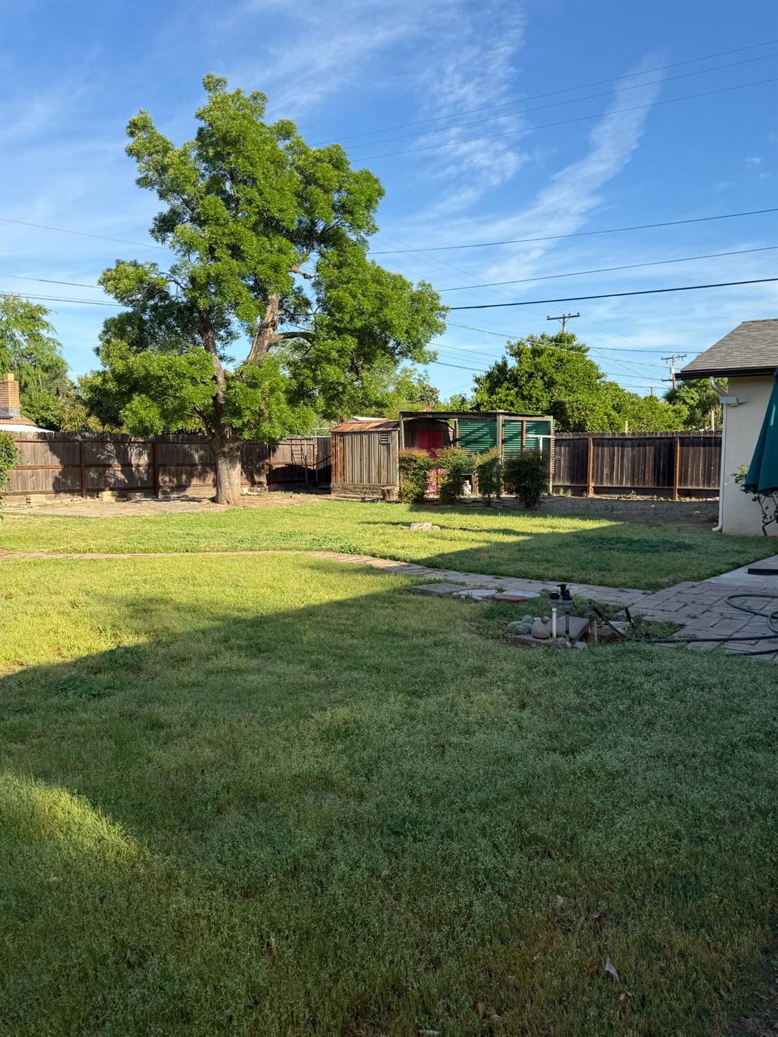 91 O Street Sanger, CA 93657 - Photo 21 of 21 a big yard with large trees