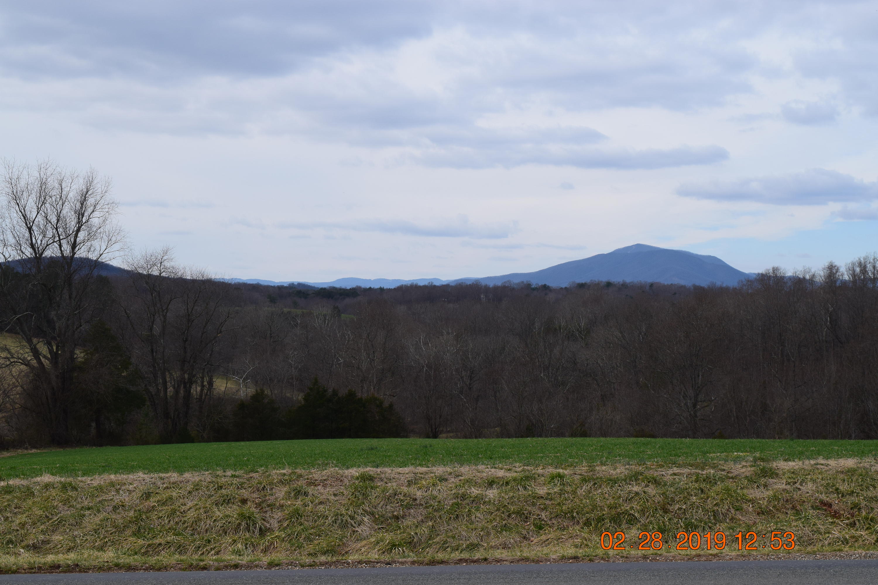 1988 Alean Road Wirtz, VA 24184 - Photo 12 of 36 DSC_0506