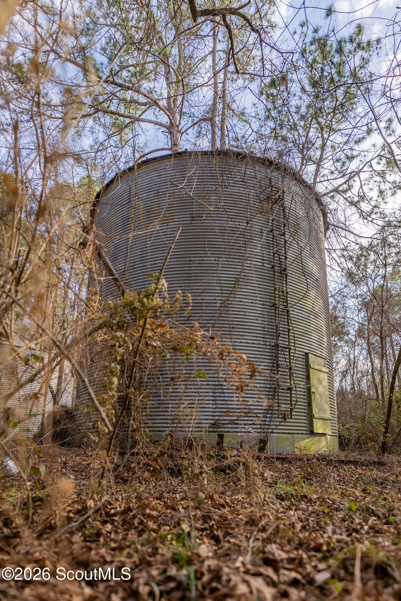 0 Reddish Road Odum, GA 31555 - Photo 39 of 46 230-AC-REDDISH-ODUM-38