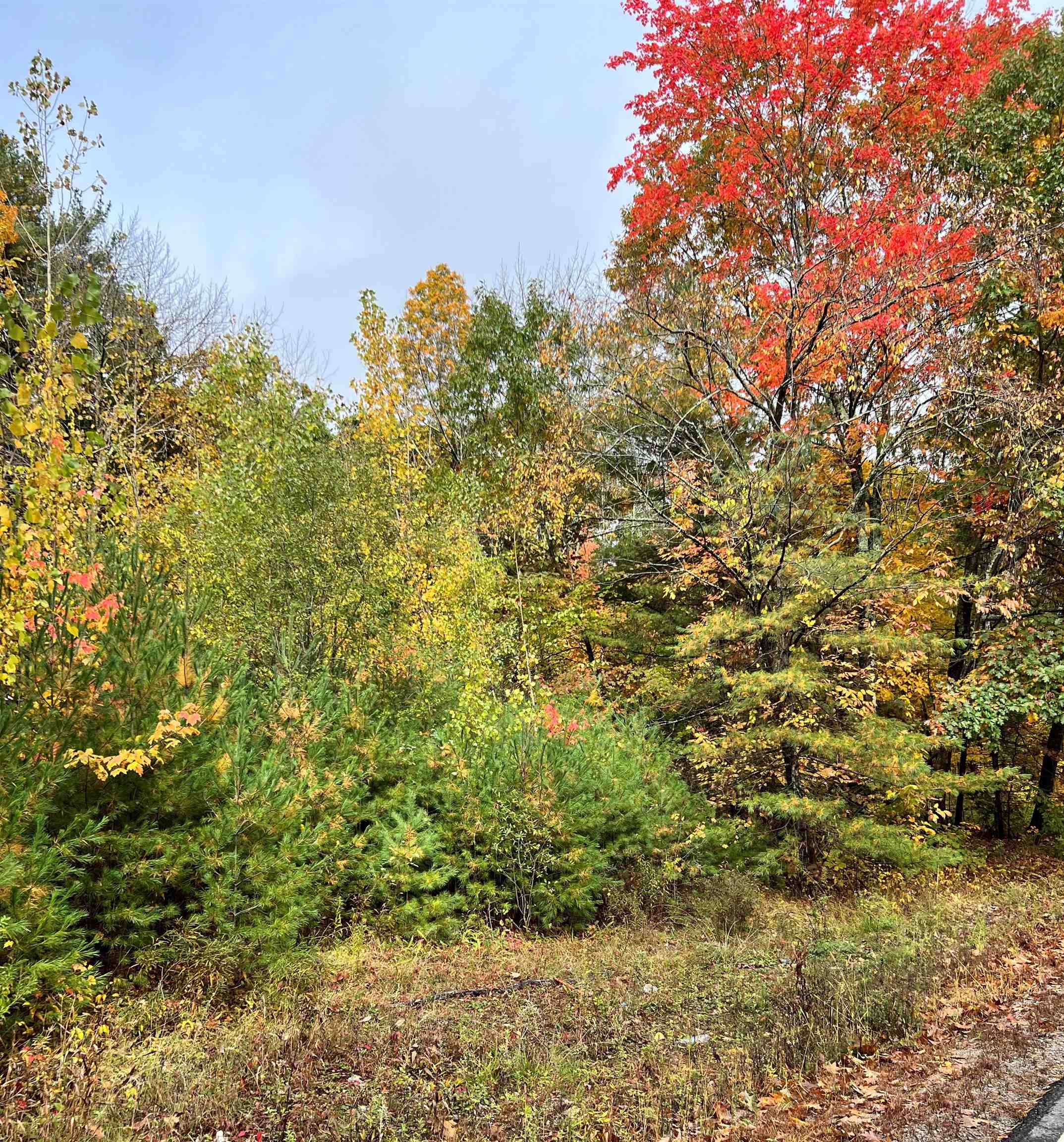 202 Range Road Windham, NH 03087 - Photo 1 of 4