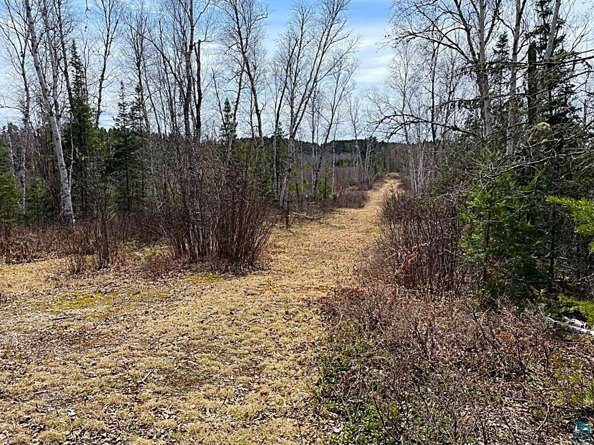 1480 Maijala Road Ely, MN 55731 - Photo 45 of 58 Cut Trails Across Rolling Land