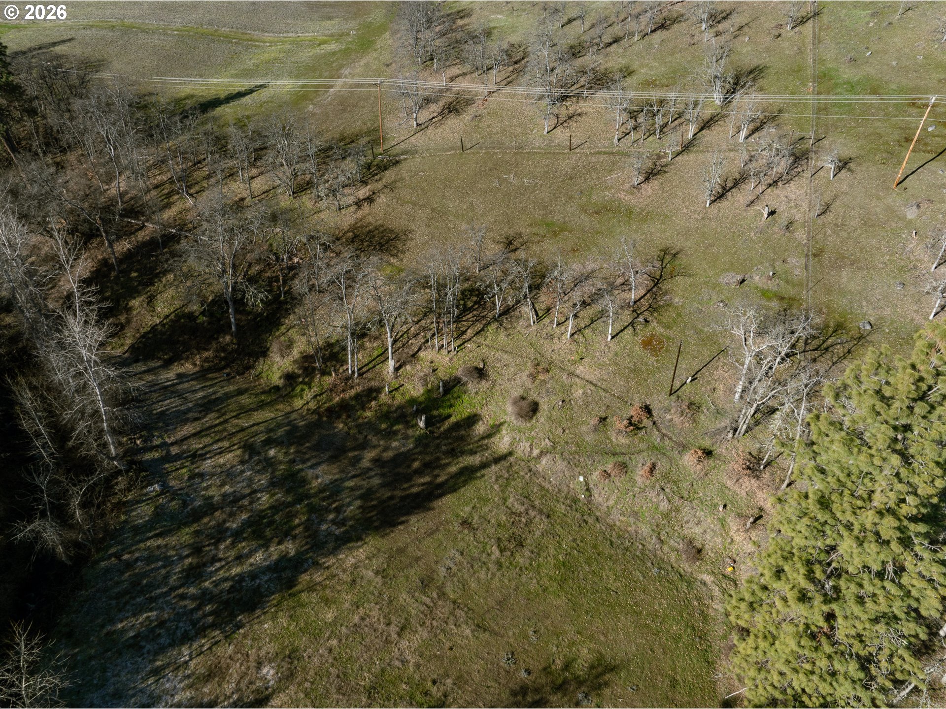 3673 Browns Creek Road The Dalles, OR 97058 - Photo 4 of 11