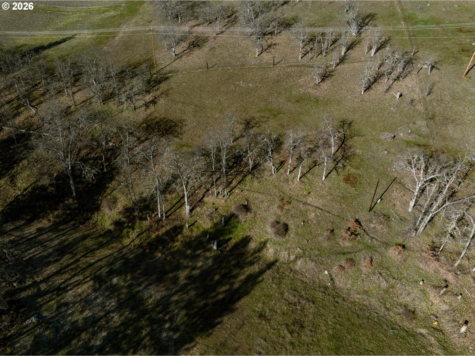 3673 Browns Creek Road The Dalles, OR 97058 - Photo 5 of 11