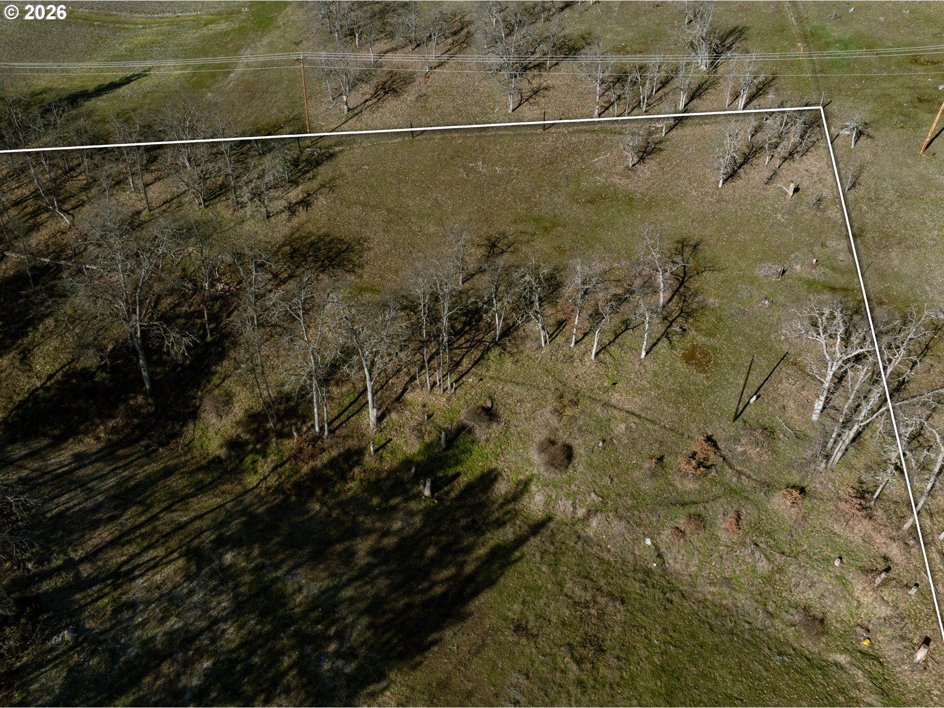 3673 Browns Creek Road The Dalles, OR 97058 - Photo 6 of 11