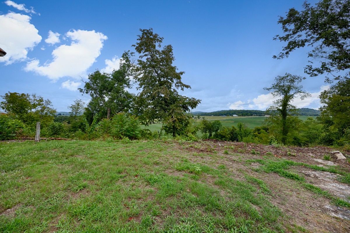 375 Kelley Road Prospect, TN 38477 - Photo 30 of 42 a view of an outdoor space with a lake view