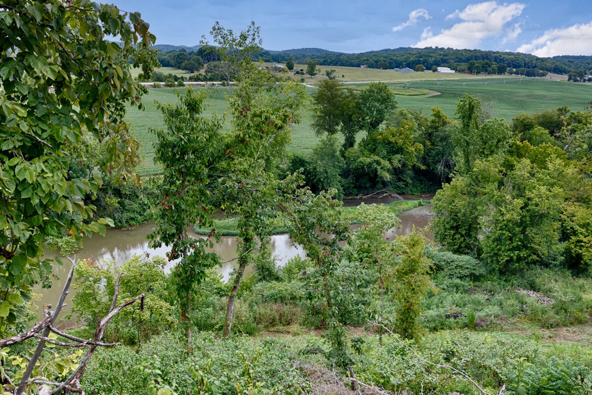 375 Kelley Road Prospect, TN 38477 - Photo 36 of 42 a view of a green field with lots of bushes