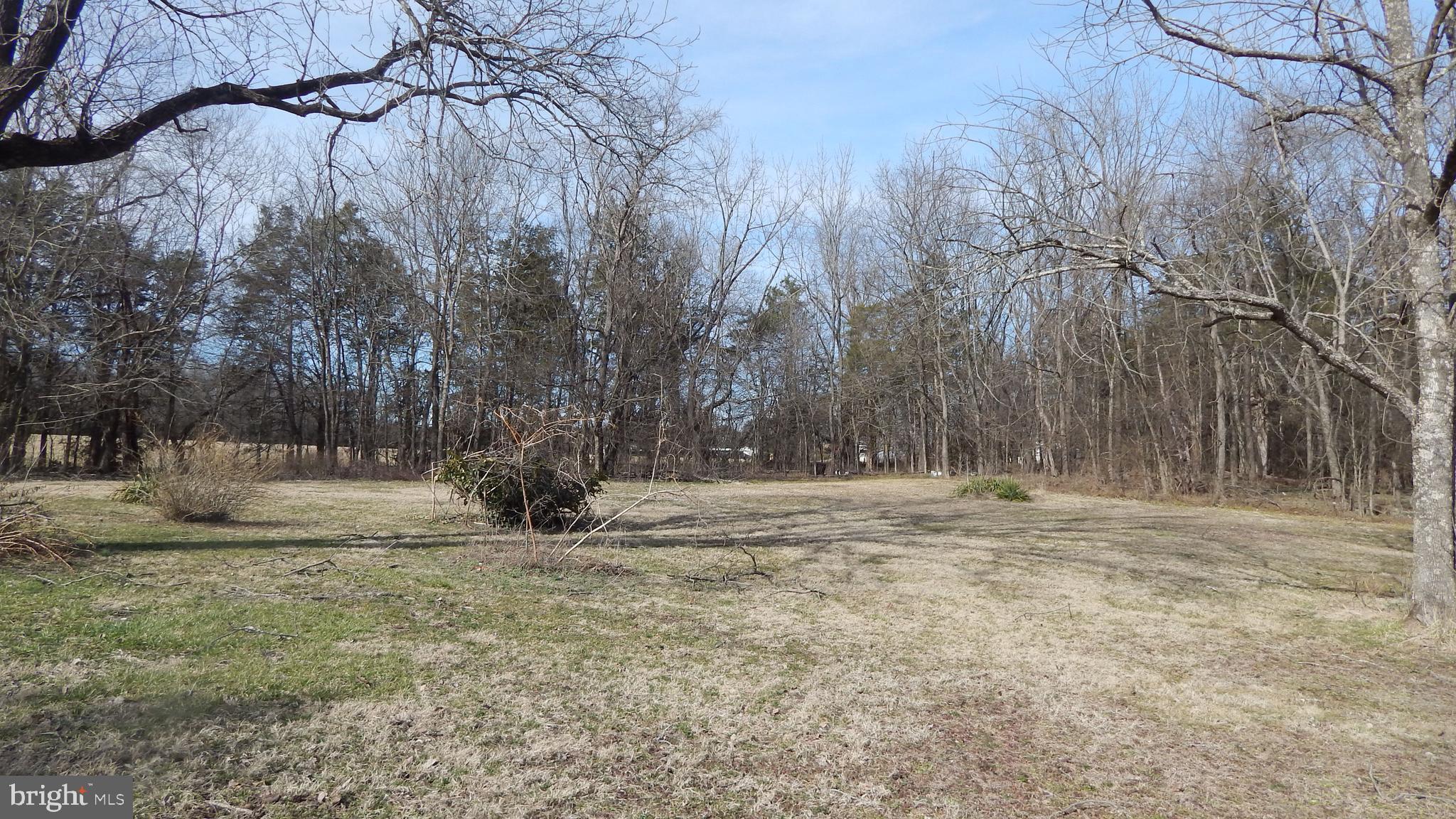 20470 Blackjack Road Culpeper, VA 22701 - Photo 1 of 7 a view of outdoor space with trees