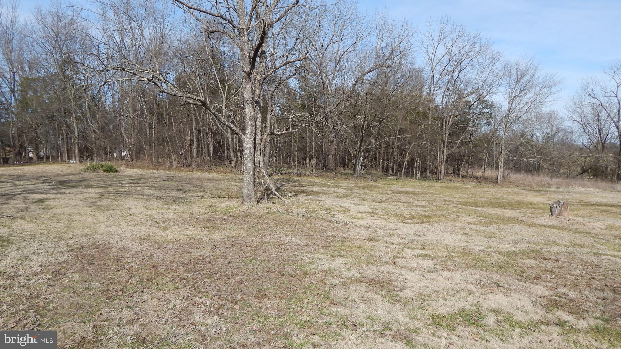 20470 Blackjack Road Culpeper, VA 22701 - Photo 2 of 7 a view of outdoor space with trees