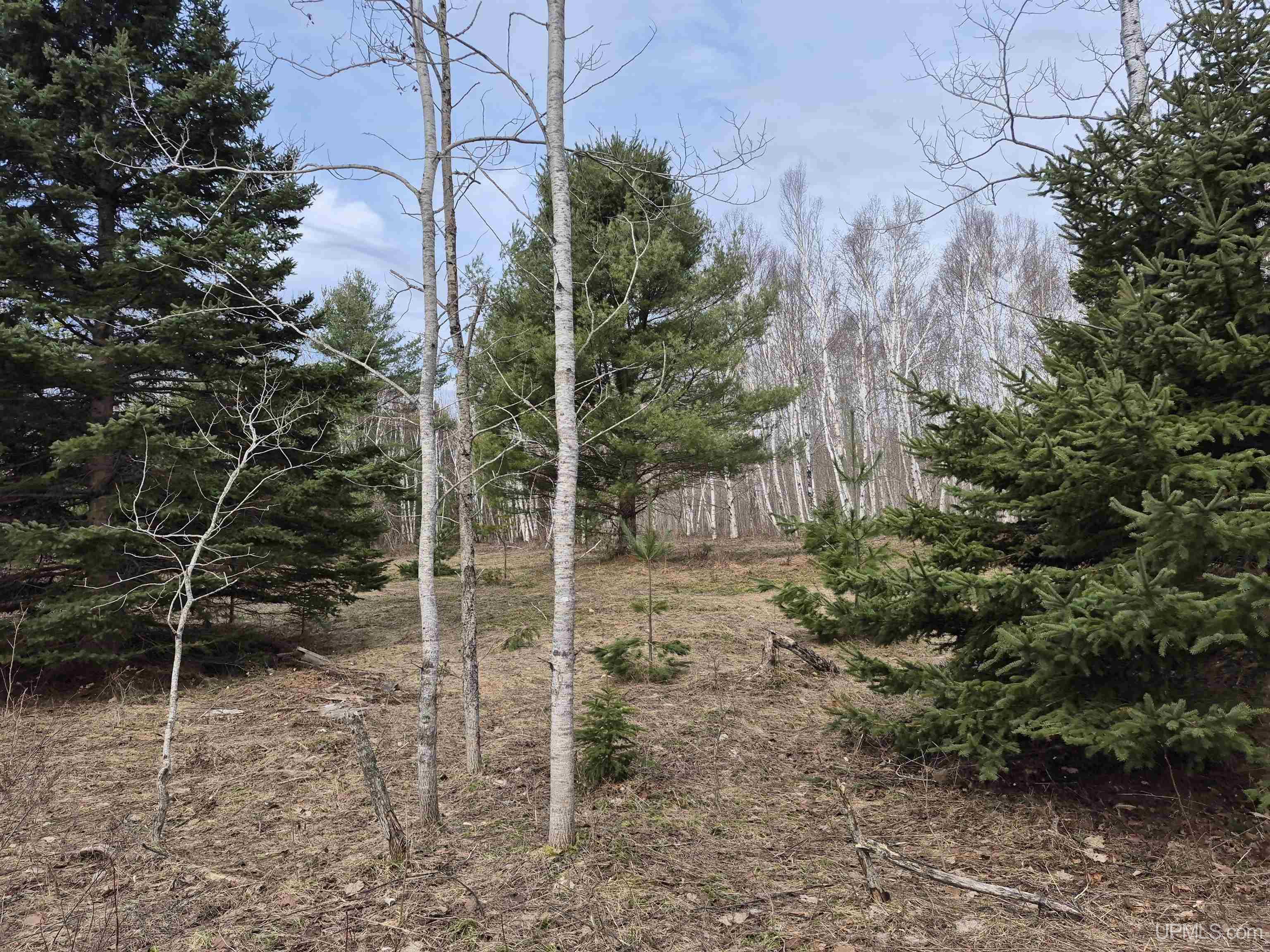 3754 Quarry Road Gulliver, MI 49840 - Photo 37 of 77