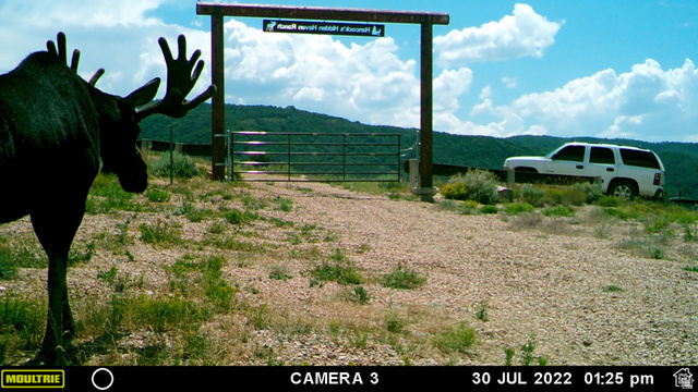 28 Moose Horn Road, Unit 28 Coalville, UT 84017 - Photo 15 of 38