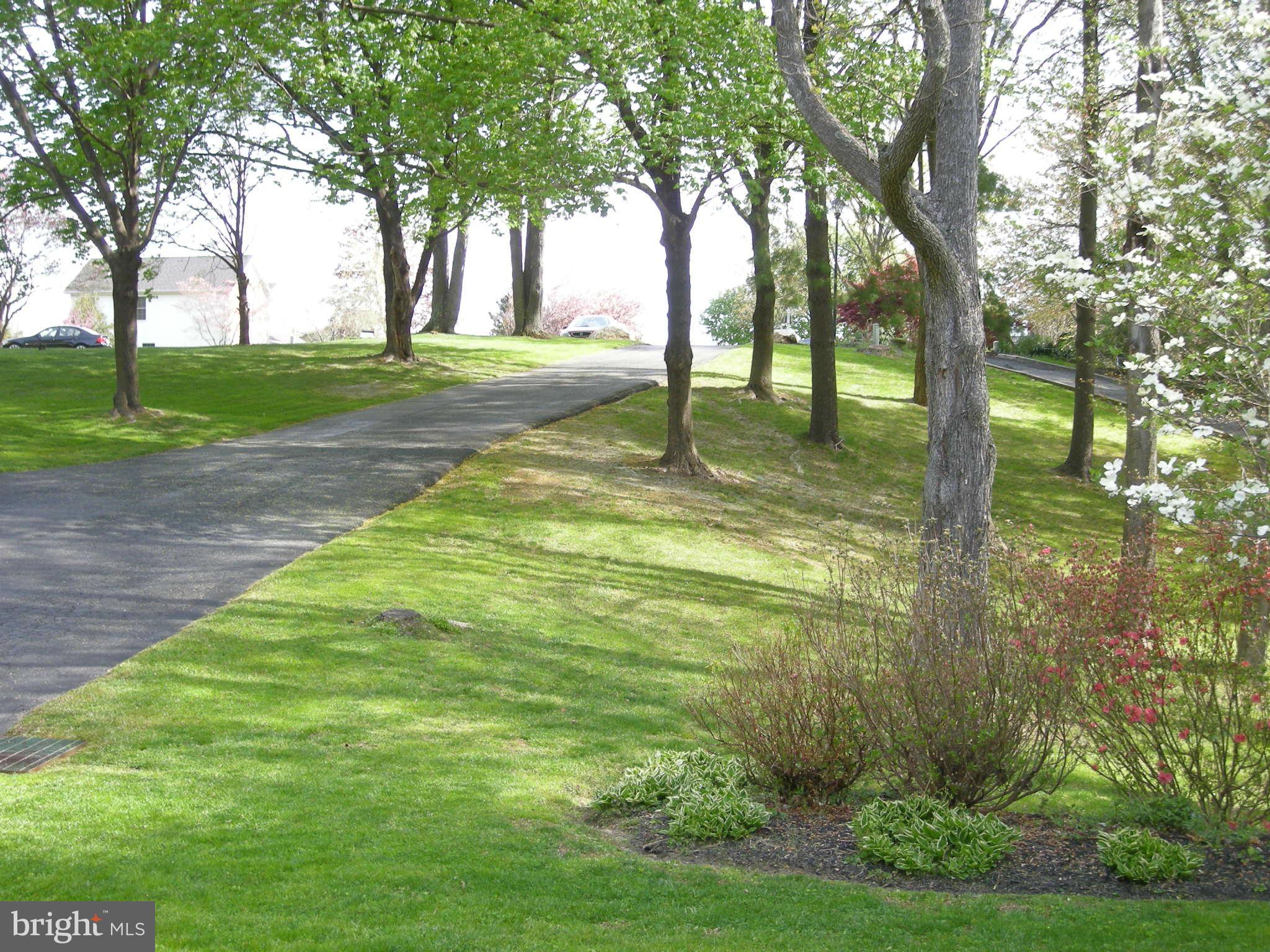 2208 Brookhaven Court Fallston, MD 21047 - Photo 2 of 30 Driveway to home is tree-lined.