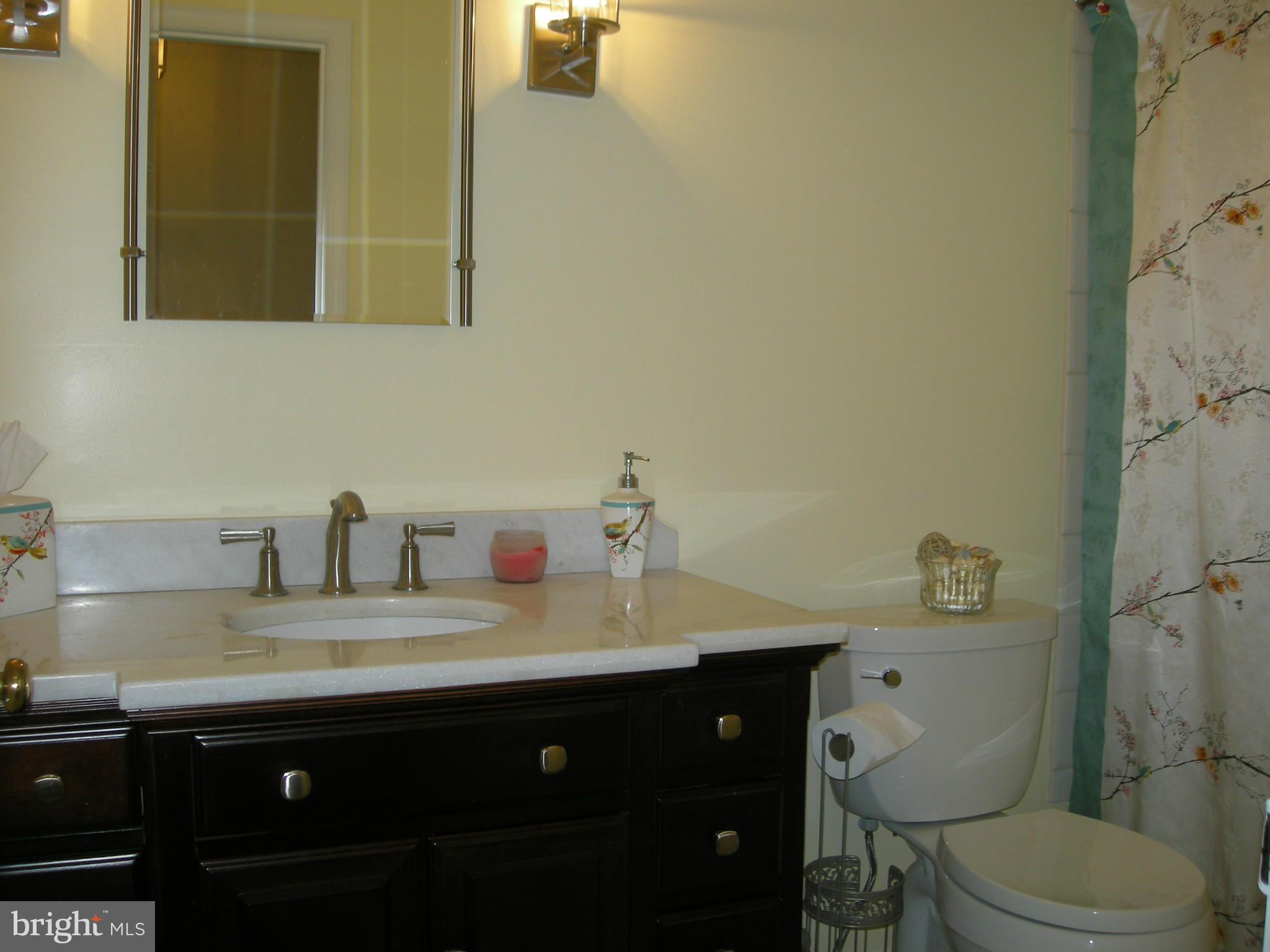 2208 Brookhaven Court Fallston, MD 21047 - Photo 17 of 30 Family Bath has been redone.