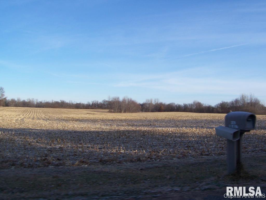 4250 Bissell Road Springfield, IL 62707 - Photo 3 of 10