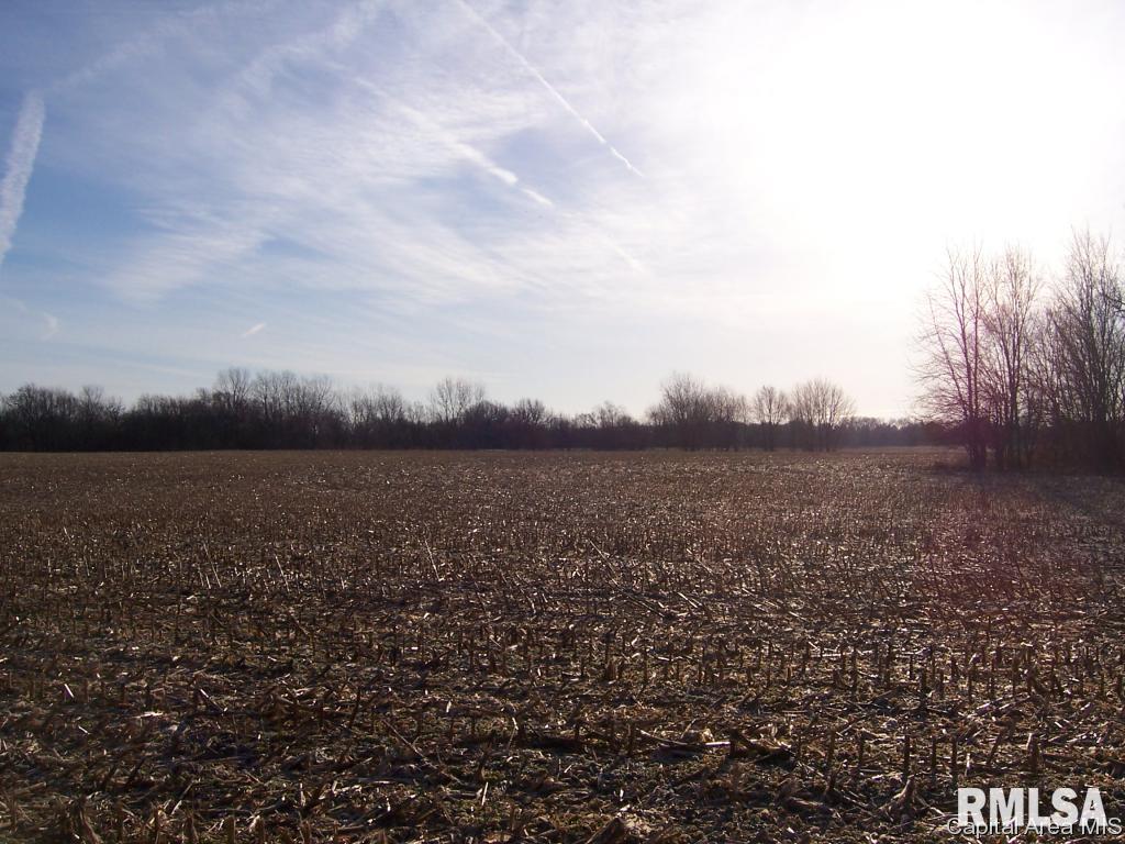 4250 Bissell Road Springfield, IL 62707 - Photo 10 of 10