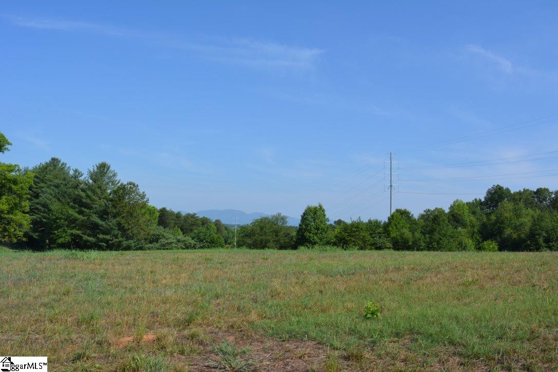 0 Gramling School Road, Unit LOT 2 Inman, SC 29349 - Photo 12 of 24
