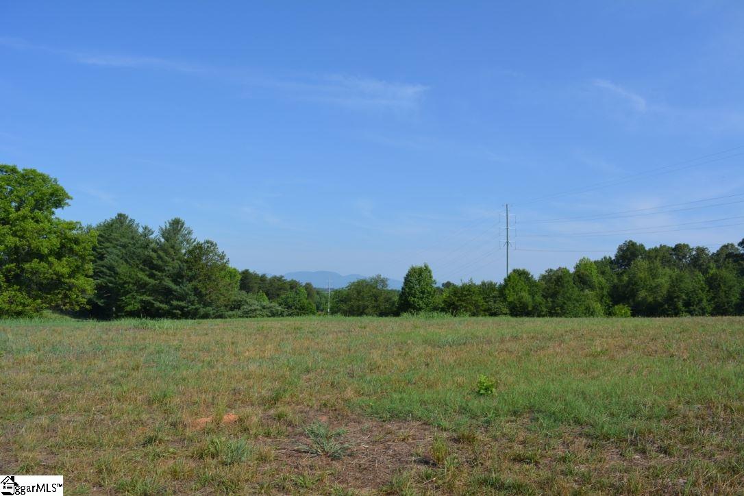 0 Gramling School Road, Unit LOT 2 Inman, SC 29349 - Photo 13 of 24