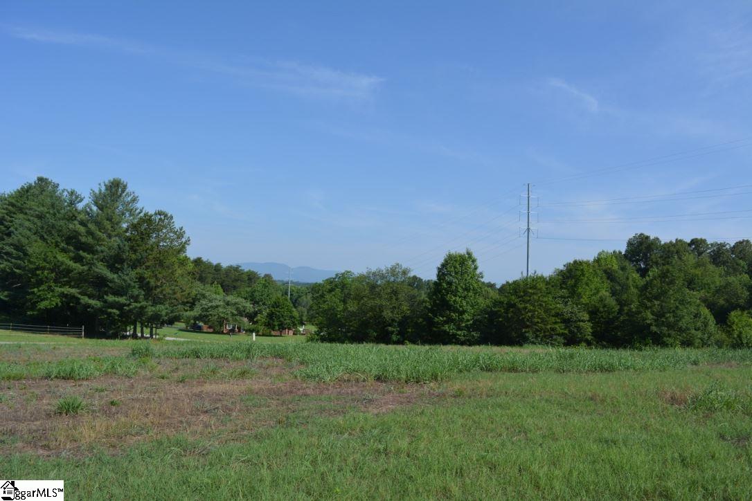 0 Gramling School Road, Unit LOT 2 Inman, SC 29349 - Photo 14 of 24