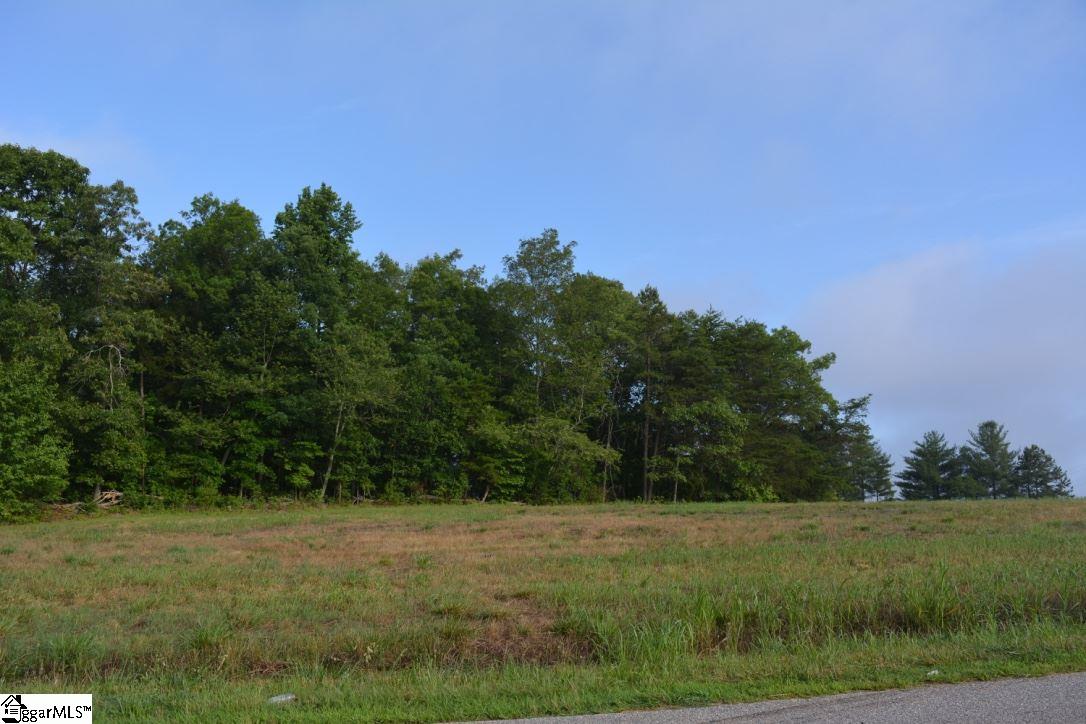 0 Gramling School Road, Unit LOT 2 Inman, SC 29349 - Photo 17 of 24