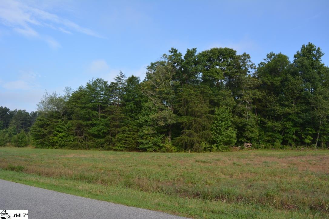 0 Gramling School Road, Unit LOT 2 Inman, SC 29349 - Photo 18 of 24
