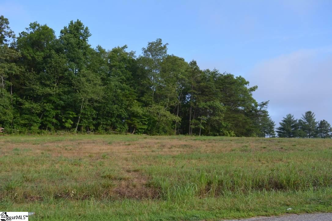 0 Gramling School Road, Unit LOT 2 Inman, SC 29349 - Photo 19 of 24