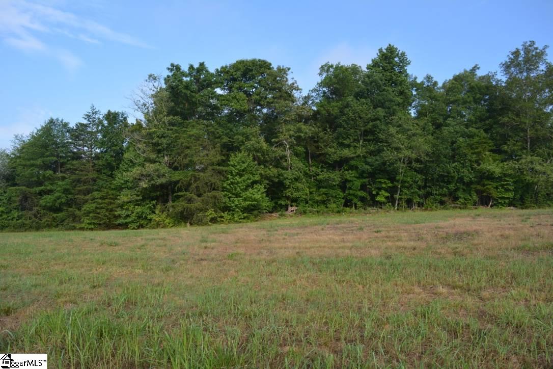 0 Gramling School Road, Unit LOT 2 Inman, SC 29349 - Photo 20 of 24