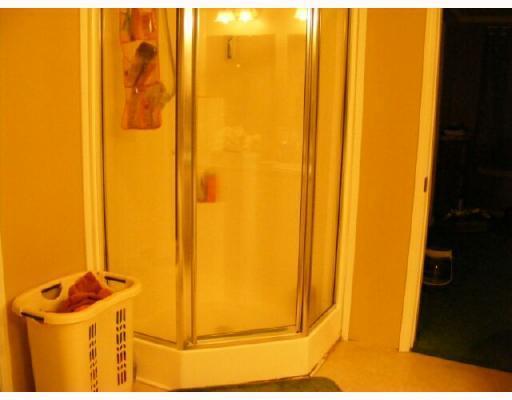 478 Trimbur Road Chicora, PA 16025 - Photo 10 of 18 Master Bath/Spa.