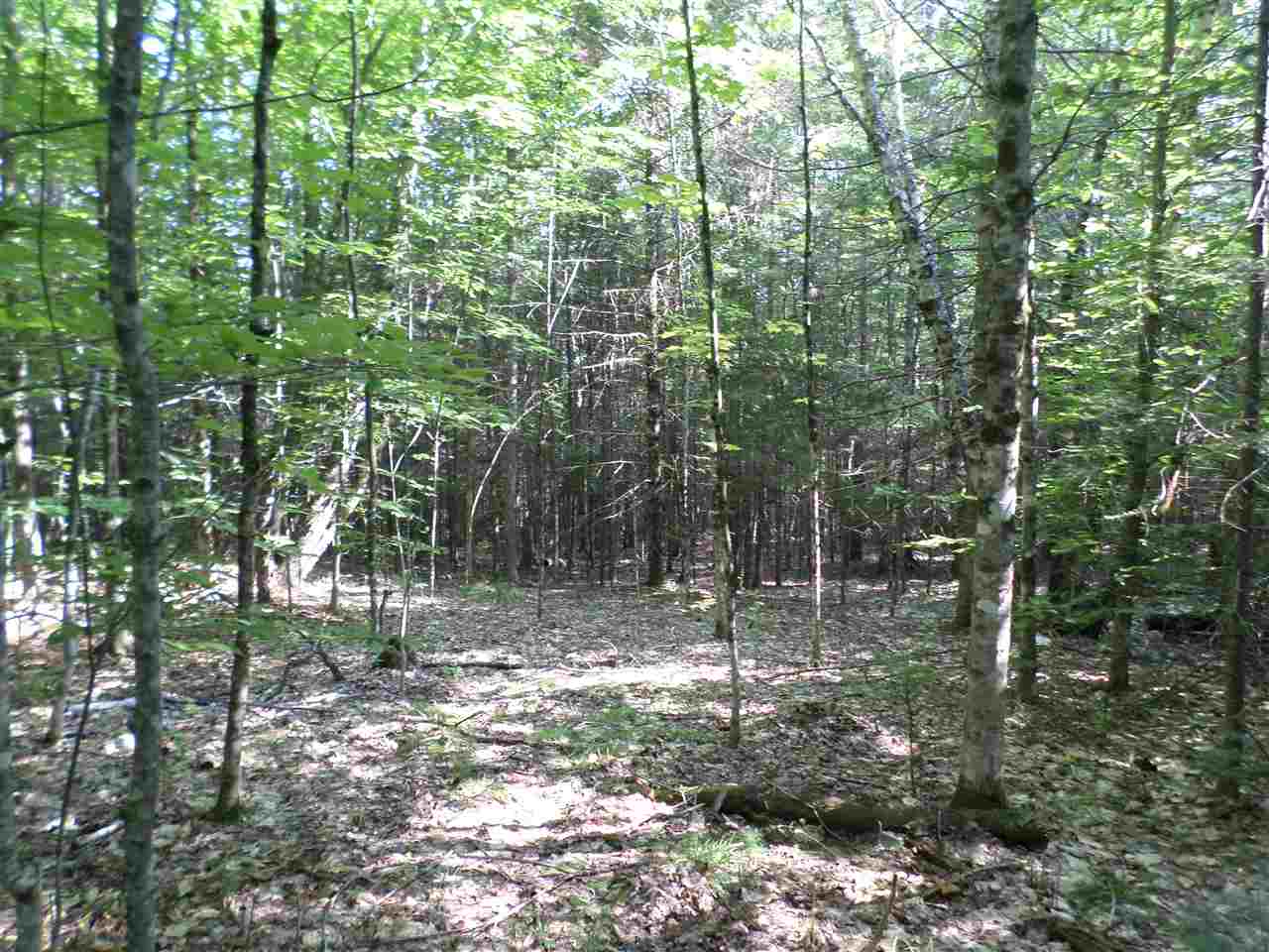 Judges Road Thornton, NH 03285 - Photo 1 of 1