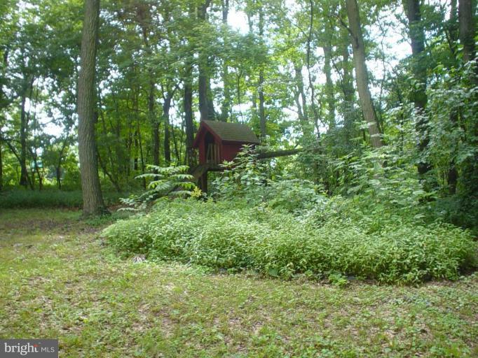 3924 Falls Road Manchester, MD 21102 - Photo 23 of 27 Back yard