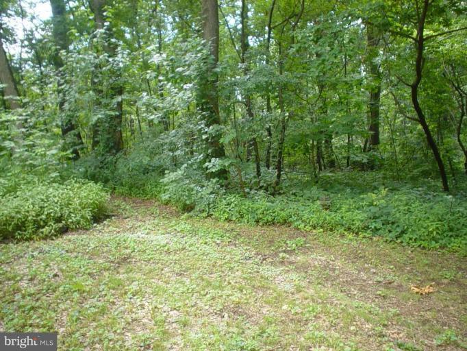 3924 Falls Road Manchester, MD 21102 - Photo 24 of 27 Exterior #3