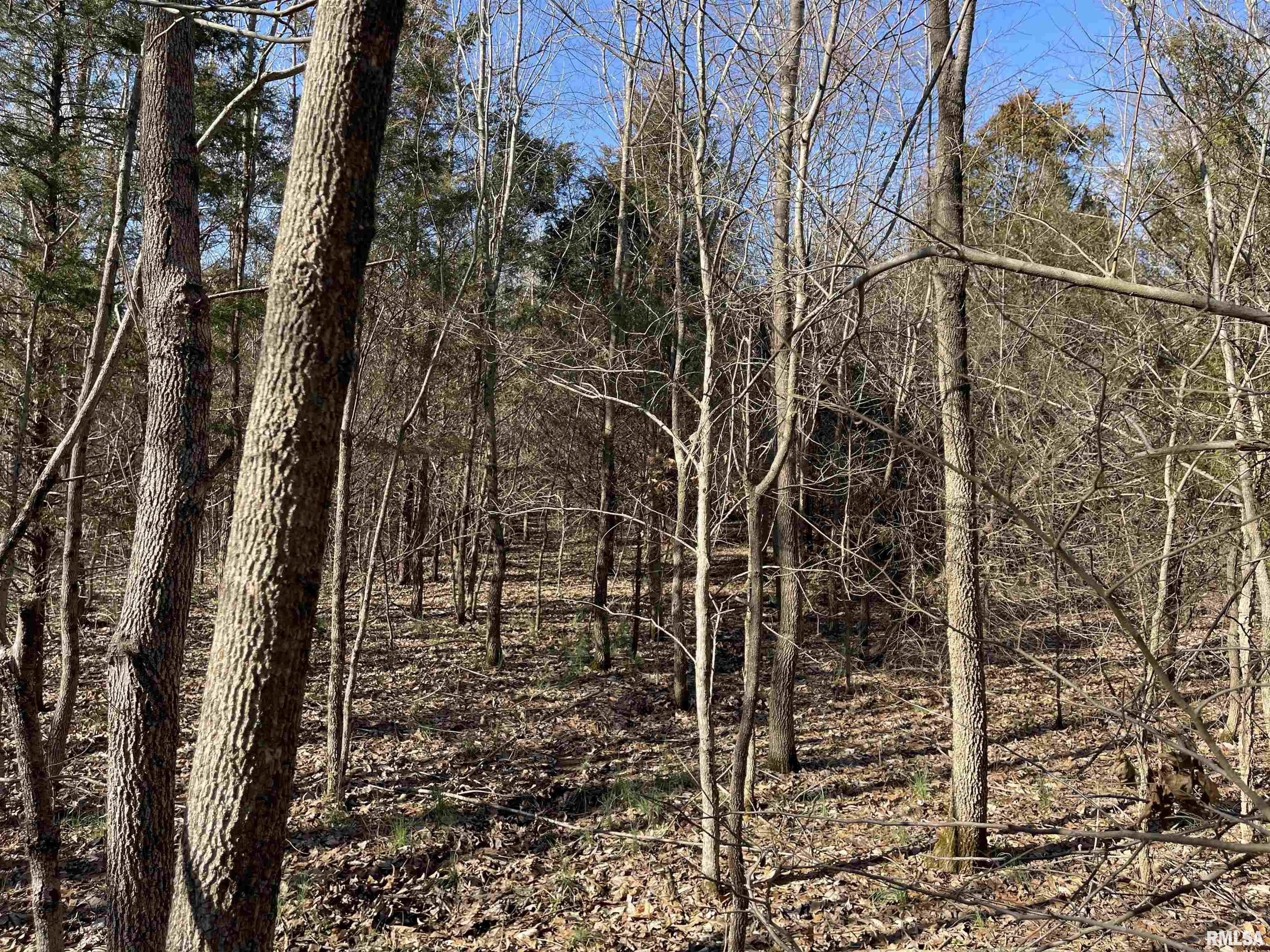 -tbd Tom Dick Hill Road Stonefort, IL 62987 - Photo 17 of 17 Gallery Image 17