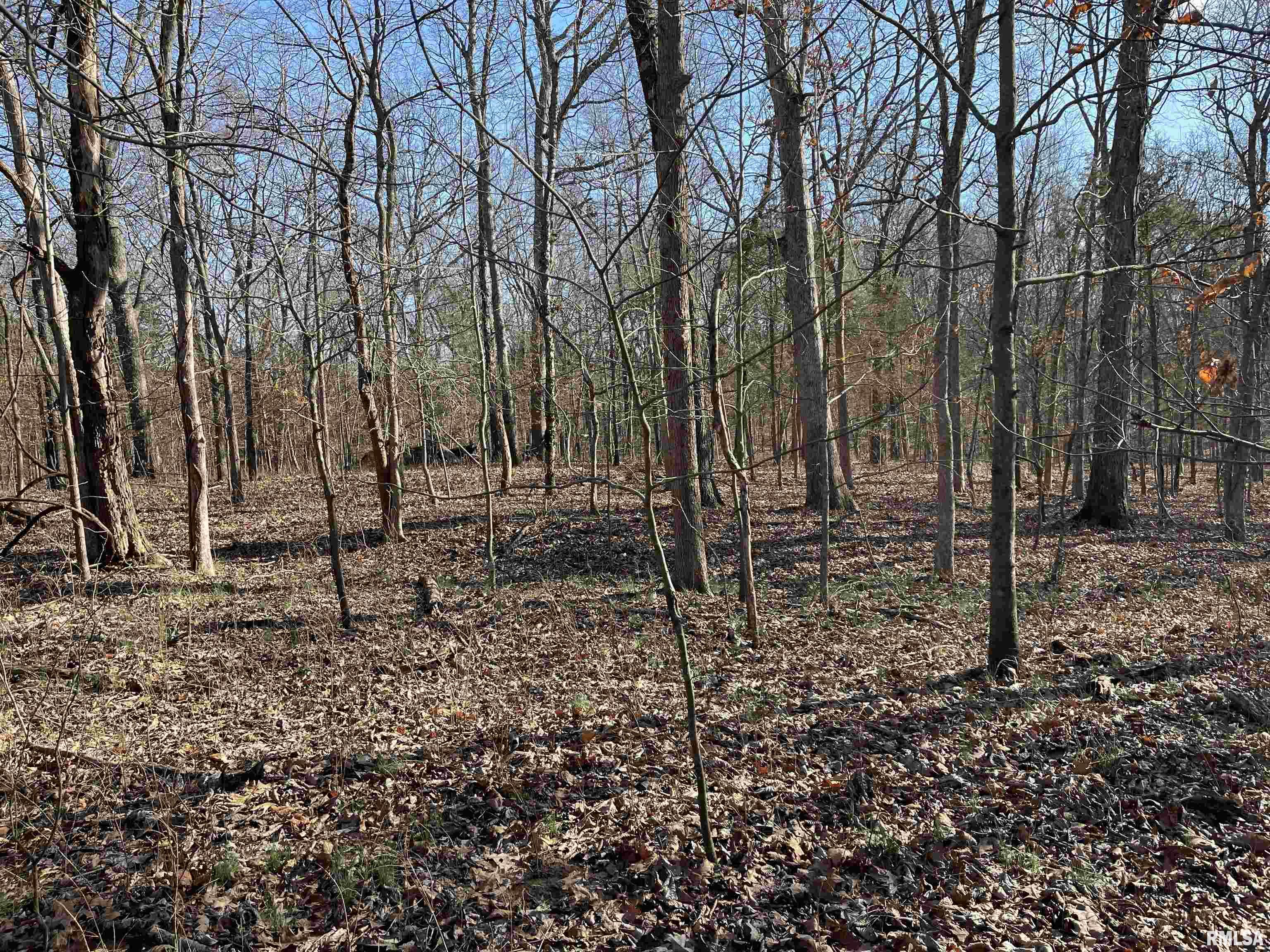 -tbd Tom Dick Hill Road Stonefort, IL 62987 - Photo 3 of 17 Gallery Image 3