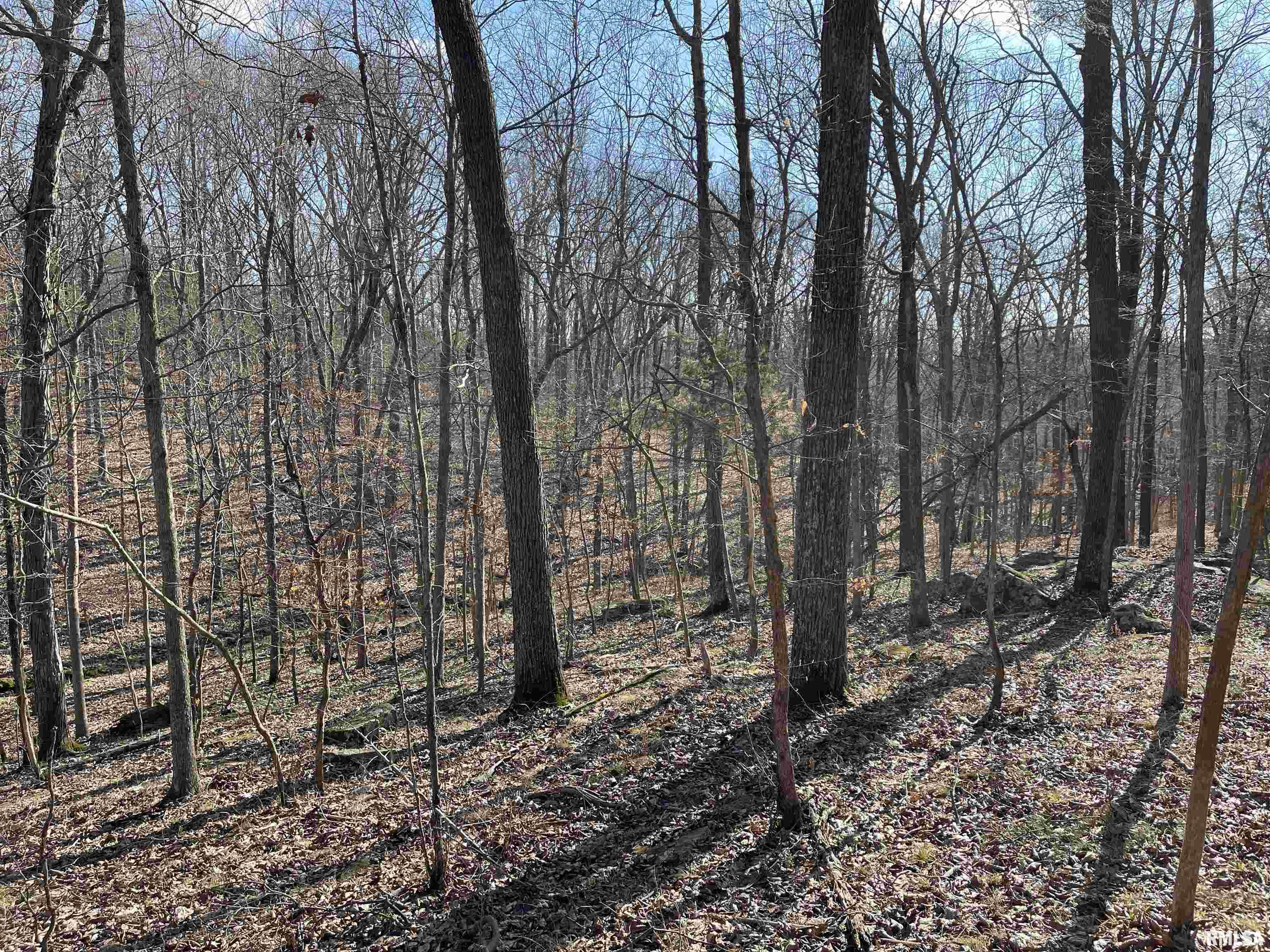 -tbd Tom Dick Hill Road Stonefort, IL 62987 - Photo 6 of 17 Gallery Image 6
