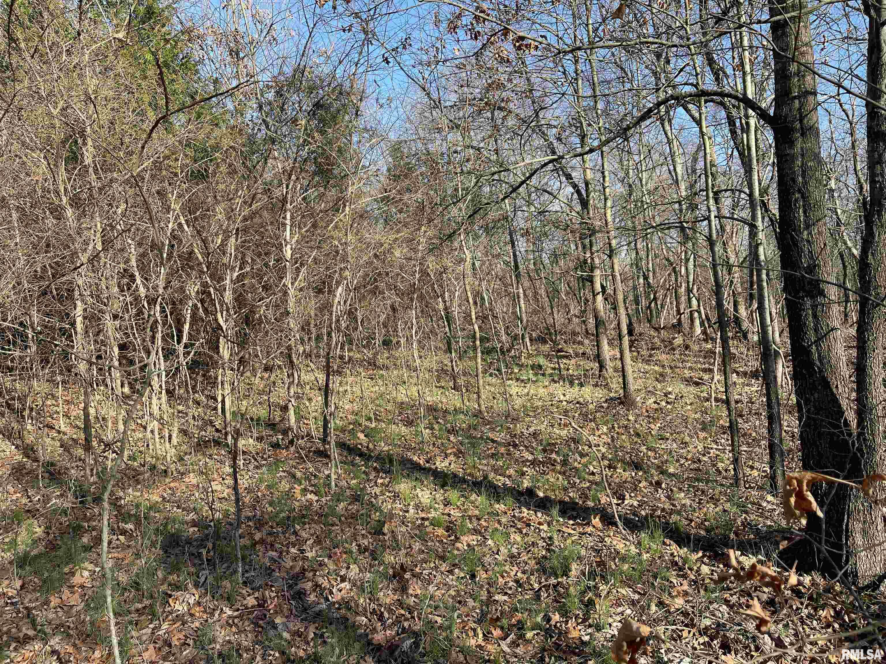 -tbd Tom Dick Hill Road Stonefort, IL 62987 - Photo 7 of 17 Gallery Image 7