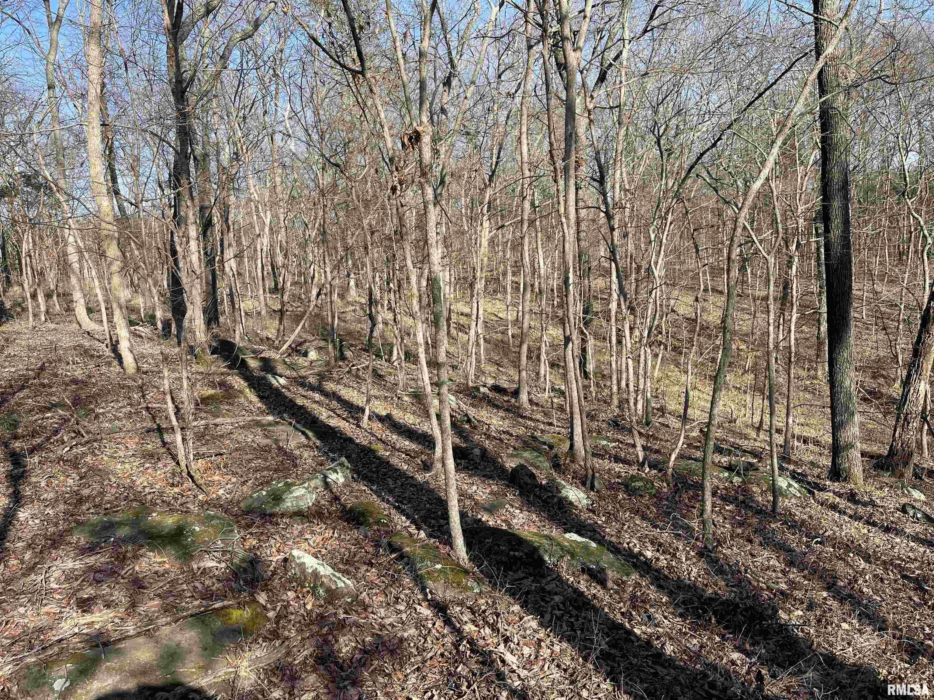 -tbd Tom Dick Hill Road Stonefort, IL 62987 - Photo 8 of 17 Gallery Image 8