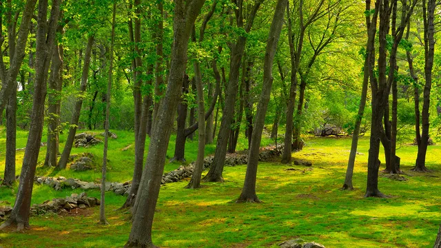 $8,995,000 | 4 Ice House Point, York, ME 03909