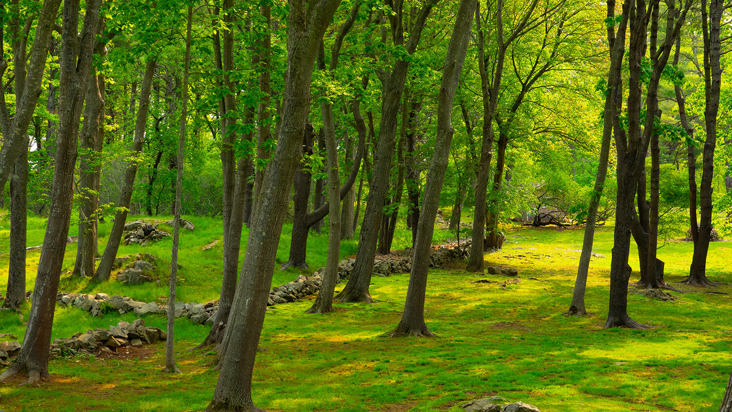 4 Ice House Point York, ME 03909 - Photo 77 of 83 DSC09760