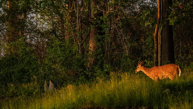 $8,995,000 | 4 Ice House Point, York, ME 03909