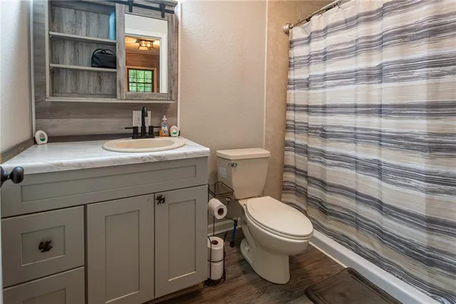 a bathroom with a toilet a sink and a shower curtain