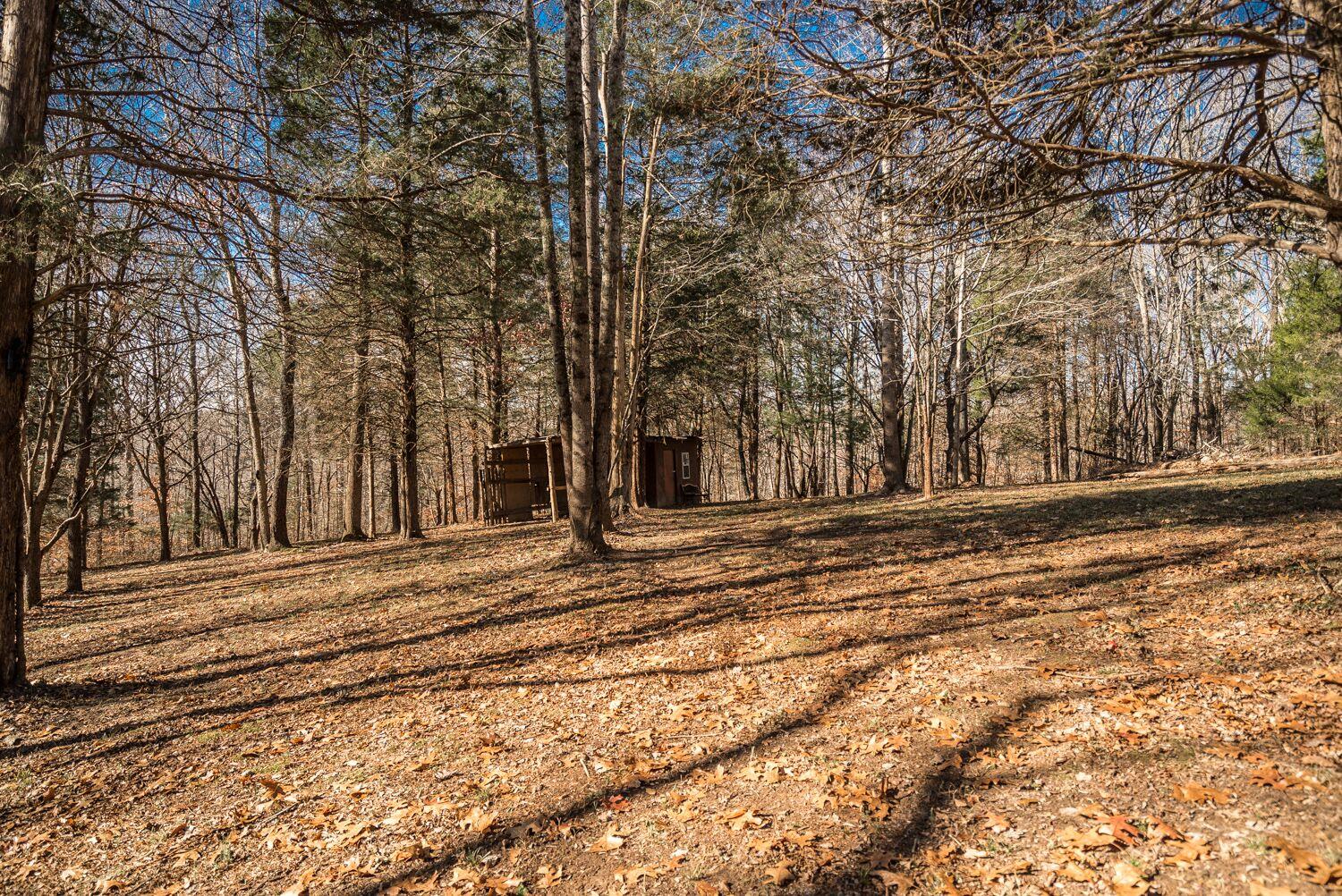 4120 Baxter Road Joelton, TN 37080 - Photo 30 of 30 Gallery Image 30
