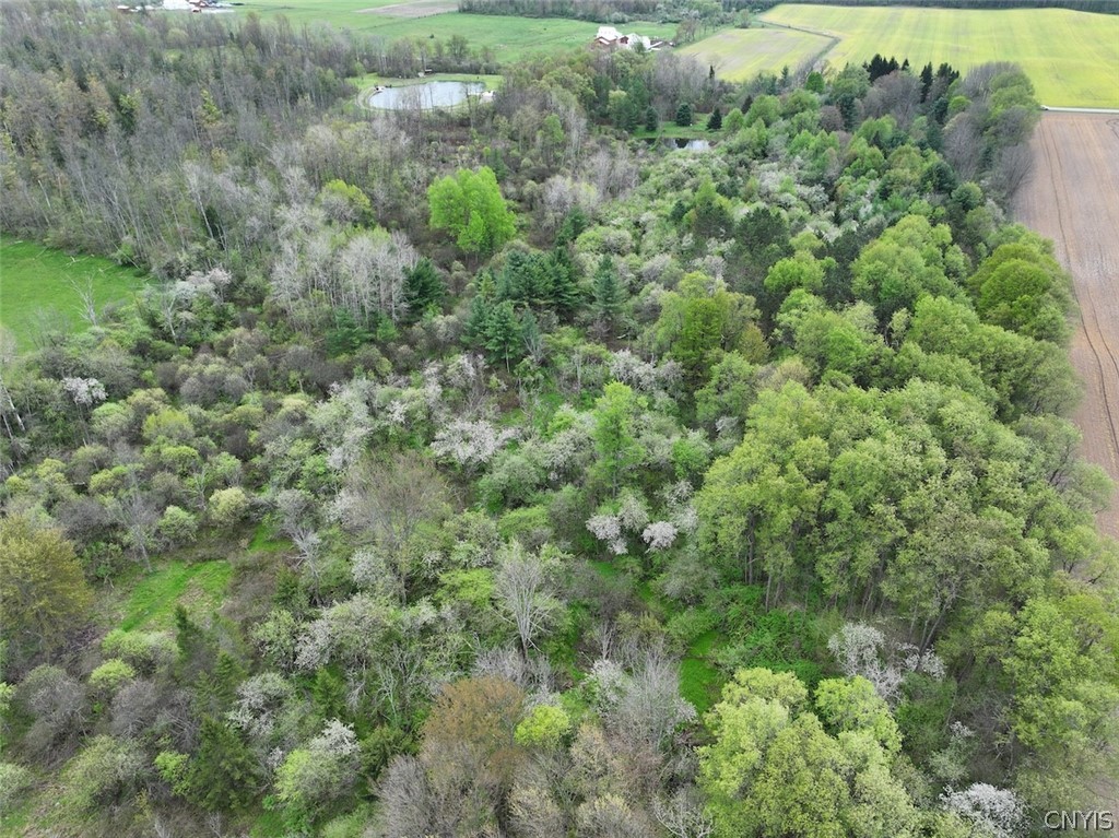 Youngs Road Conewango Valley, NY 14726 - Photo 5 of 32 Gallery Image 5